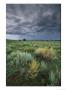 Sage And Storm Clouds Near Gallup by Phil Schermeister Limited Edition Print