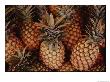 A Group Of Pineapples At An Open-Air Fruit Market by Todd Gipstein Limited Edition Print