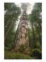 A Large Totem Pole Stands Amid Tall Trees In A Mossy Forest by Bill Curtsinger Limited Edition Pricing Art Print