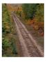 Railroad Tracks Between Autumn Foliage, Mi by Don Grall Limited Edition Print