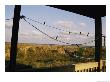 A Quiet Stretch Of Ocean Front Framed By The Wooden Porch Of A Beach House by Stephen St. John Limited Edition Print