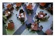 Diners In Cafe At Melbourne Central Shopping Centre, Melbourne, Victoria, Australia by Phil Weymouth Limited Edition Print