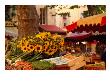Sunflowers On Market Stall, Aix-En-Provence, France by Diana Mayfield Limited Edition Print