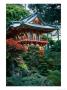 Japanese Tea Garden, San Francisco, Ca by Daniel Mcgarrah Limited Edition Print