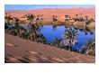 Umm Al-Miah- One Of The Oasis Pools Part Of The Dawada Lakes, Awbari, Libya by Doug Mckinlay Limited Edition Print