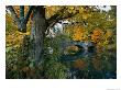 Autumnal View Of A Stone Bridge by Robert Madden Limited Edition Print