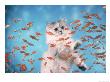 Cat Observing Goldfish In An Aquarium by Richard Stacks Limited Edition Print