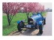Bugatti Racecar And Cherry Blossoms by Claire Rydell Limited Edition Pricing Art Print