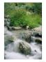 A Creek Flows Over Granite Rocks In The Sierra Nevada Mountains by Marc Moritsch Limited Edition Print