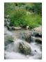 A Creek Flows Over Granite Rocks In The Sierra Nevada Mountains by Marc Moritsch Limited Edition Pricing Art Print