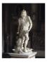 David by Giovanni Lorenzo Bernini Limited Edition Print