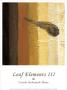 Leaf Elements Iii by Ursula Salemink-Roos Limited Edition Print