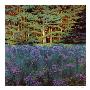 Shadowed Meadow Sunlit Pines by Jon R. Friedman Limited Edition Print