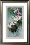 Floral Beauty In Tropical Region by Minrong Wu Limited Edition Print