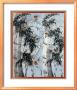 Spring Birds In Bamboo Trees by Huachazc Lee Limited Edition Print