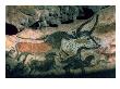 Rock Painting Of A Bull And Horses, Circa 17000 Bc by Prehistoric Limited Edition Print