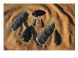 Indian Arrowheads In The Sand by Ira Block Limited Edition Print