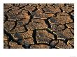 Overhead Of Mud Cracks, Usa by Carol Polich Limited Edition Print