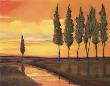 Majestic Sunset Ii by Judith D'agostino Limited Edition Print