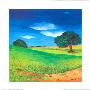 At The Height Of Summer Iii by M. Patrizia Limited Edition Print