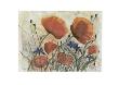 Poppy Field Ii by Dieter Hecht Limited Edition Print