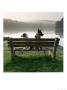 2 Dogs On Bench by Peter Ciresa Limited Edition Print