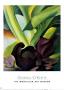 Skunk Cabbage, 1927 by Georgia O'keeffe Limited Edition Print