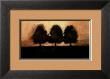 Row Of Trees I by Norman Wyatt Jr. Limited Edition Pricing Art Print