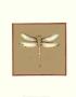Solitary Dragonfly Ii by Jennifer Goldberger Limited Edition Print