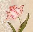 Tulip Tango by Debra Lake Limited Edition Print