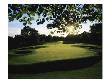 Olympia Fields Country Club North Course, Hole 11 by Stephen Szurlej Limited Edition Pricing Art Print