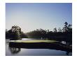 Tpc Sawgrass The Stadium Course, Hole 17 by Stephen Szurlej Limited Edition Print