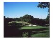 Bethpage State Park Black Course, Holes 2 And 3 by Stephen Szurlej Limited Edition Print