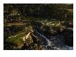 Cypress Point Golf Course by J.D. Cuban Limited Edition Print