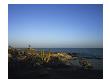 Cabo Del Sol Golf Club, Hole 17 by Stephen Szurlej Limited Edition Print