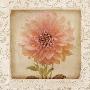 Dynamite Dahlia I by Linda Maron Limited Edition Print