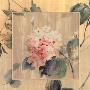 Hydrangea Ii by Cara Jones Limited Edition Pricing Art Print