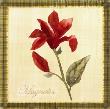 Magnolia by Yuna Limited Edition Print