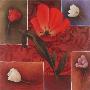 Red Tulip Ii by T. C. Chiu Limited Edition Pricing Art Print