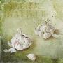 Allium Sativum by Maritta Haggenmacher Limited Edition Pricing Art Print