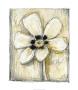 Kinetic Blooms Iv by Jennifer Goldberger Limited Edition Print