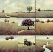 Tranquil Fields by James Wiens Limited Edition Pricing Art Print