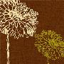 Chrysanthemum Square I by Alice Buckingham Limited Edition Print