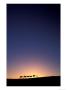 Camel Caravan Silhouette At Dawn, Silk Road, China by Keren Su Limited Edition Print