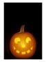Jack-O-Lantern, Halloween, Washington, Usa by Jamie & Judy Wild Limited Edition Print