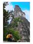 Western Traveler With Temple I, Tikal Ruins, Guatemala by Keren Su Limited Edition Print