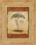 Palm Botanical Study Ii by Susan Osborne Limited Edition Pricing Art Print