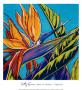 Birds Of Paradise, Turquoise by Sally Evans Limited Edition Print