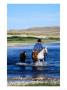 Cowboy Leading Foal Across A River, Aspen, U.S.A. by Curtis Martin Limited Edition Print