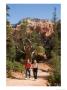 A Couple Walks Along A Path In Bryce Canyon by Taylor S. Kennedy Limited Edition Print